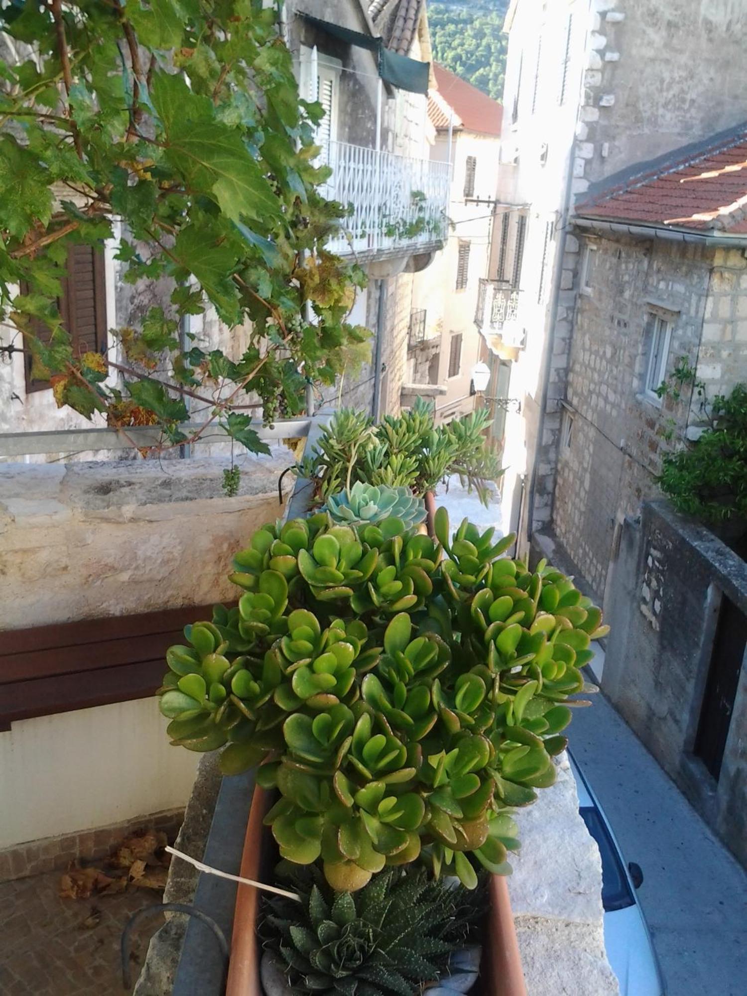 Apartments Donika Komiža Rom bilde