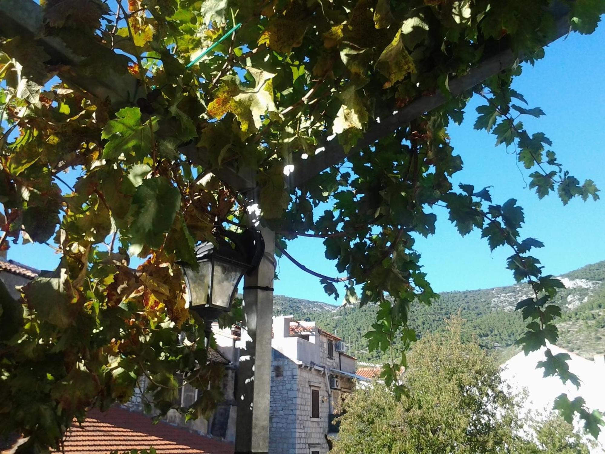 Apartments Donika Komiža Rom bilde