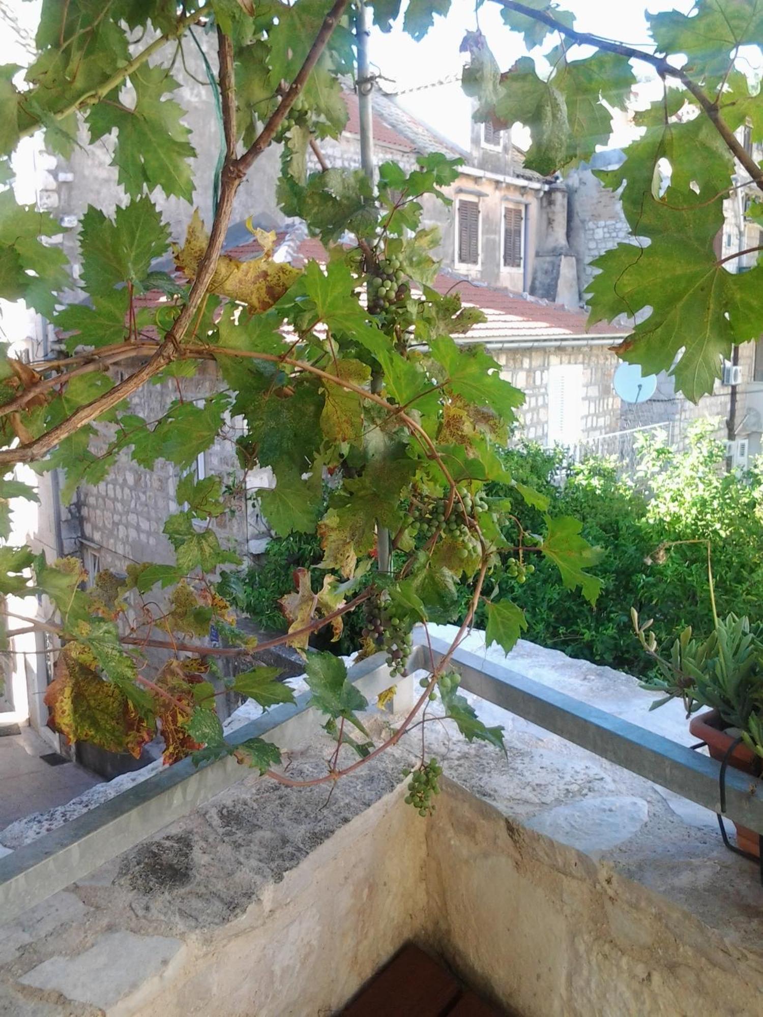 Apartments Donika Komiža Rom bilde